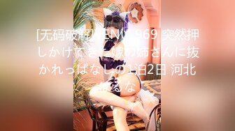 [无码破解]VENU-969 突然押しかけてきた嫁の姉さんに抜かれっぱなしの1泊2日 河北はるな