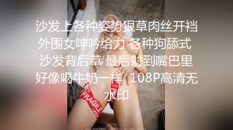 沙发上各种姿势狠草肉丝开裆外围女呻吟给力 各种狗舔式 沙发背后草 最后射到嘴巴里好像喝牛奶一样  108P高清无水印