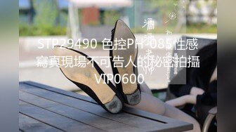 STP29490 色控PH-085性感寫真現場不可告人的秘密拍攝 VIP0600