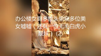 办公楼女厕多镜头偷窥多位美女嘘嘘（还有一位无毛白虎小靓妹） (2)