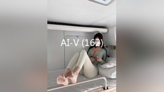 AI-V (162)