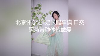 北京怀念之E奶长腿车模 口交舔菊各种体位做爱